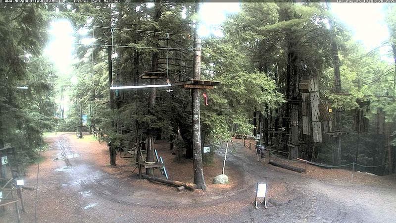 Ontree Park