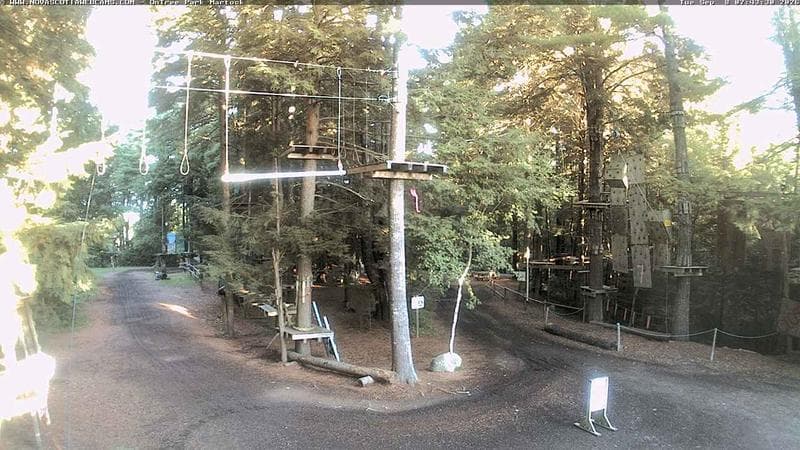 Ontree Park