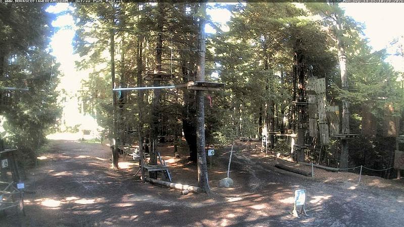 Ontree Park