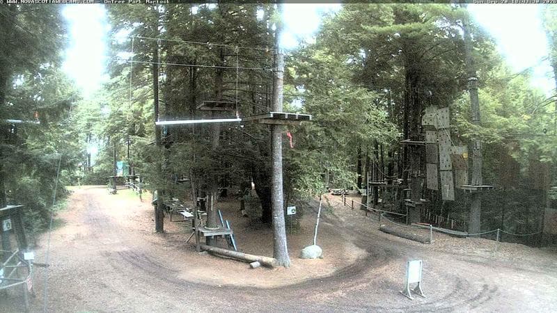 Ontree Park