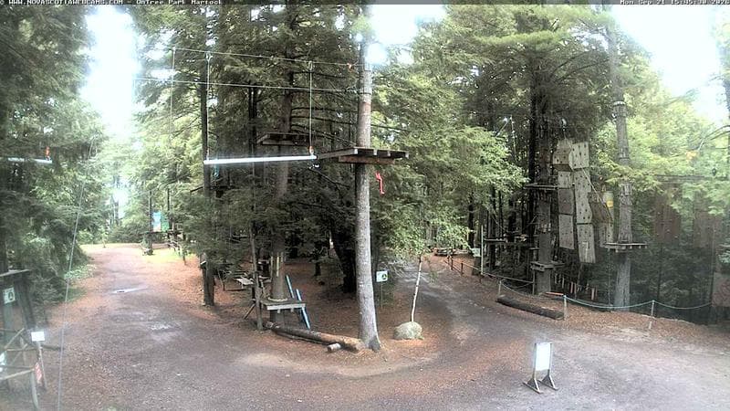 Ontree Park