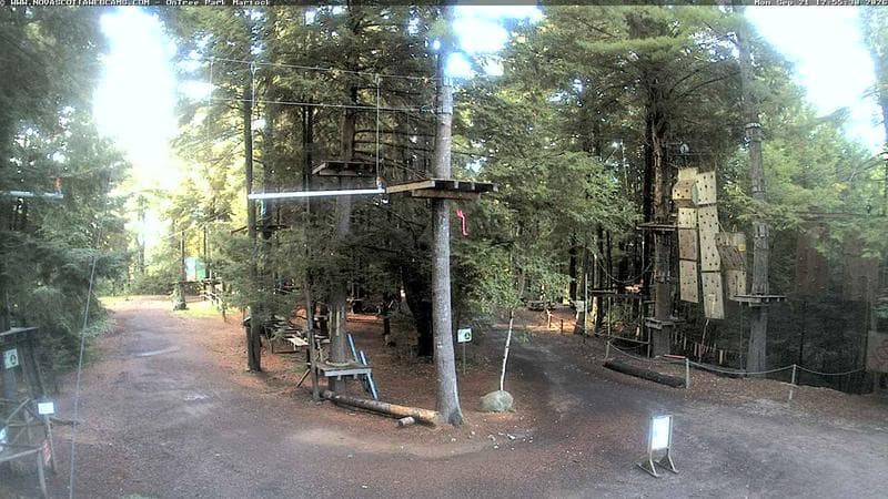 Ontree Park