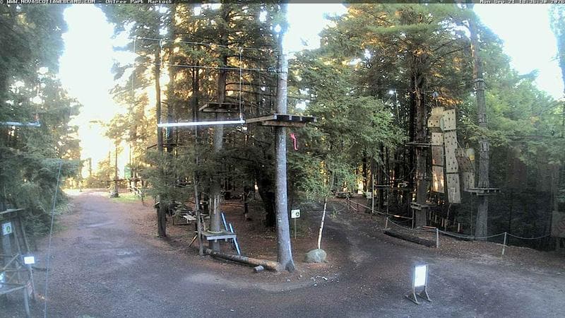 Ontree Park