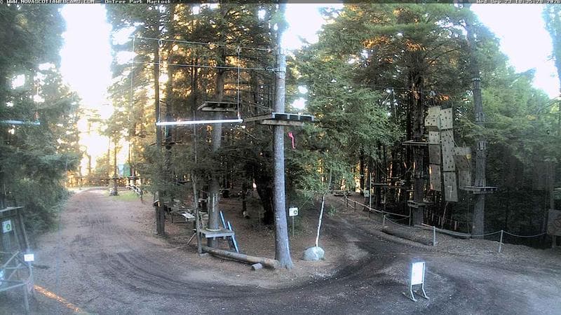 Ontree Park