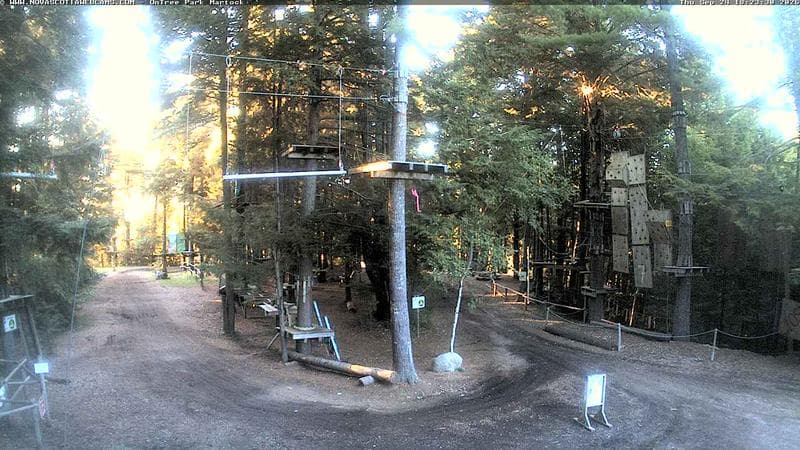 Ontree Park