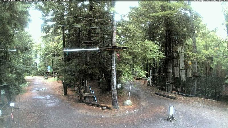 Ontree Park