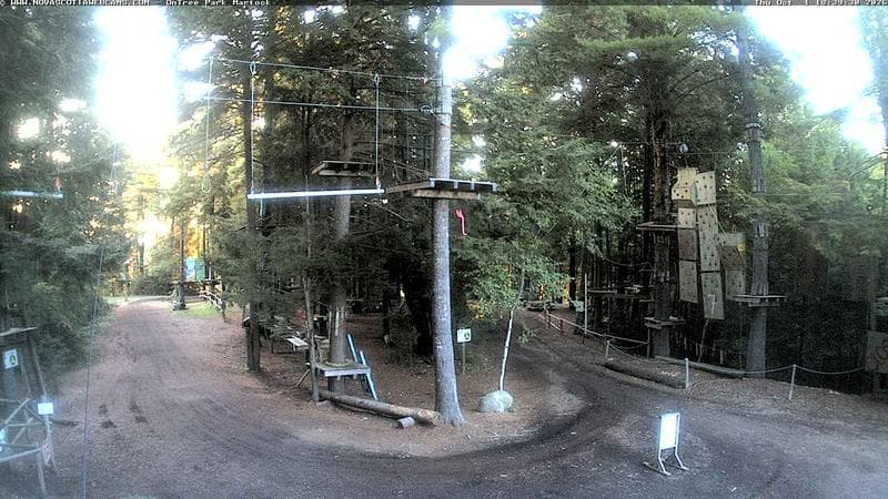 Ontree Park