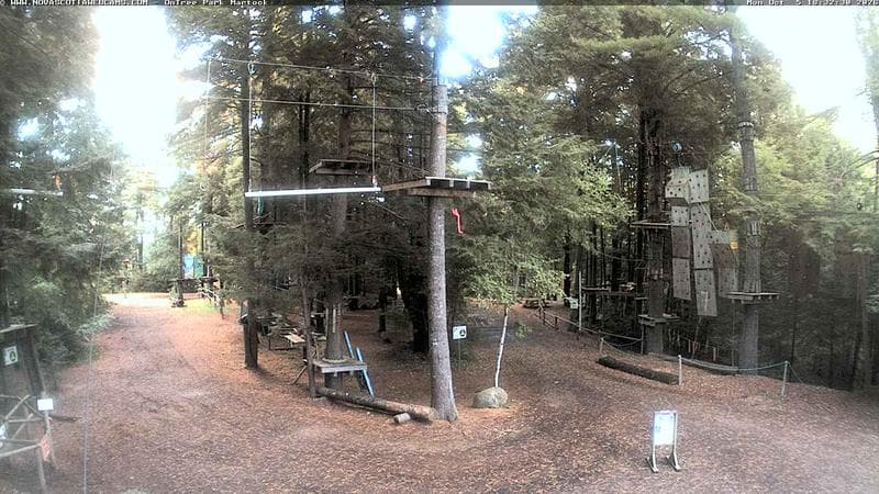 Ontree Park