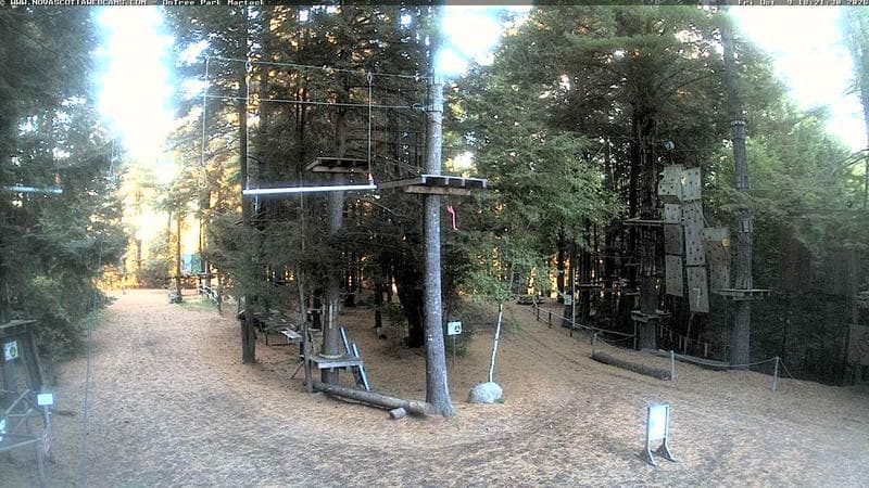 Ontree Park