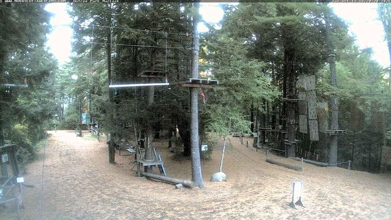 Ontree Park