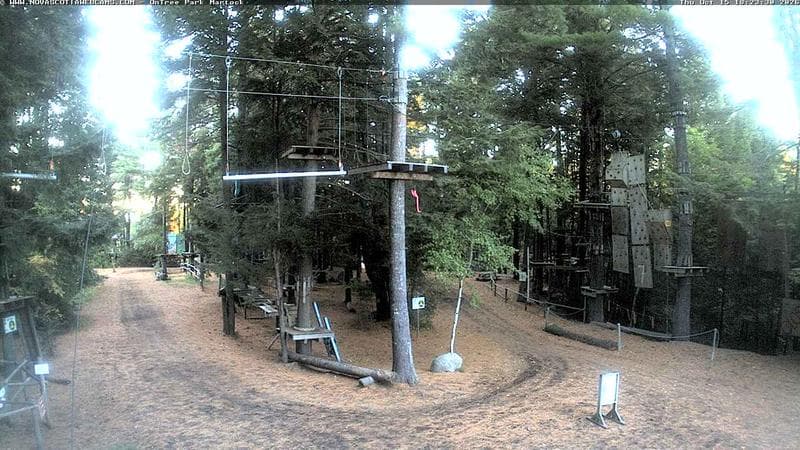 Ontree Park