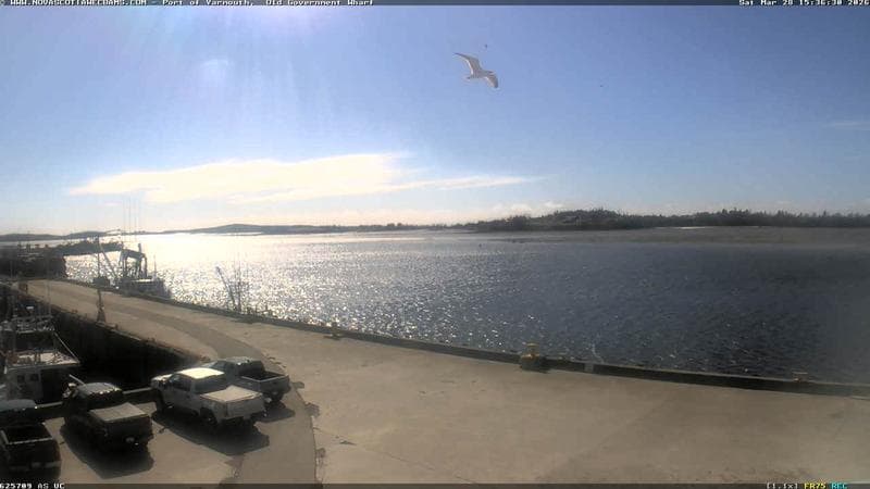 Old Government Wharf