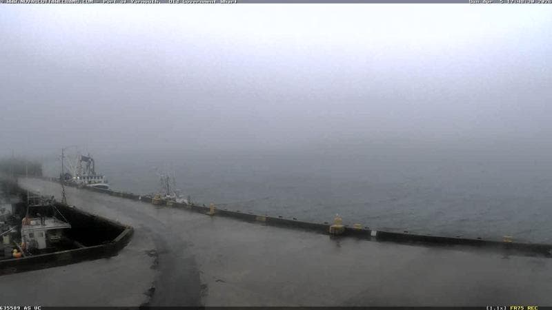 Old Government Wharf