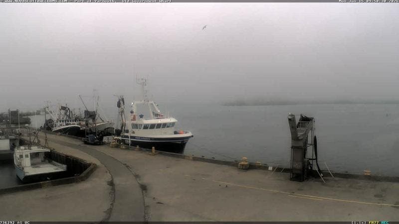 Old Government Wharf