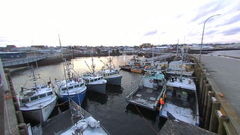 Lobster Rock Wharf East