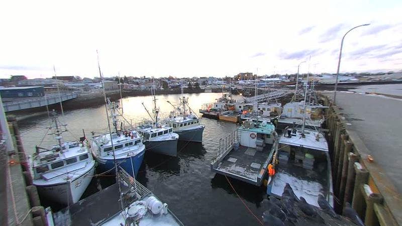 Lobster Rock Wharf East