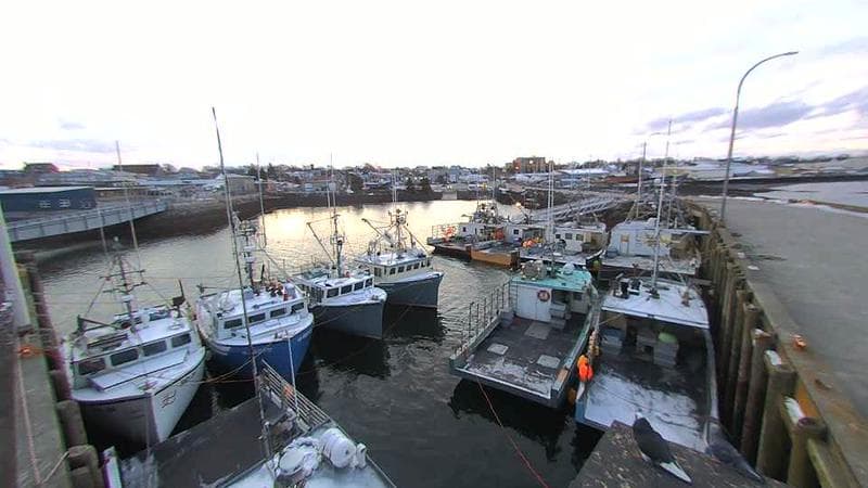 Lobster Rock Wharf East