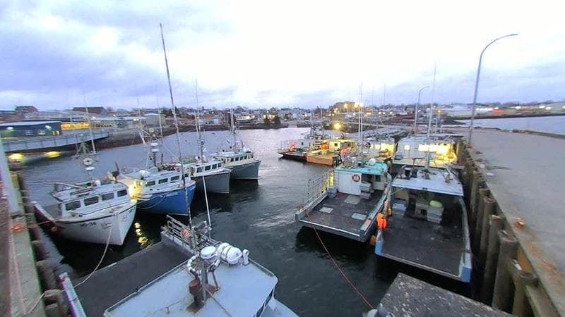 Lobster Rock Wharf East