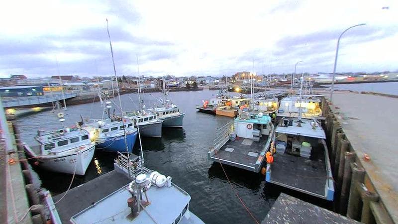 Lobster Rock Wharf East