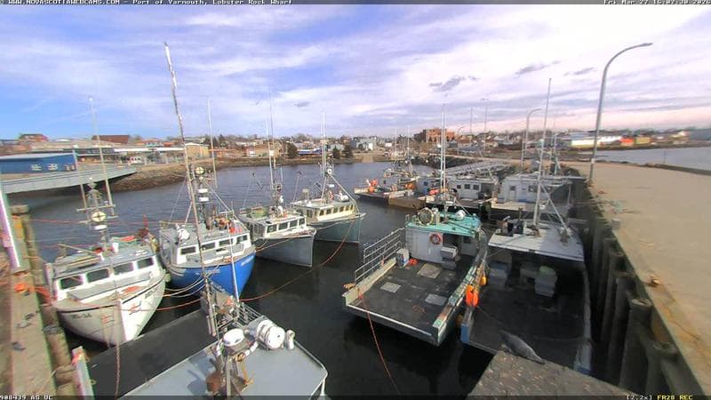 Lobster Rock Wharf East