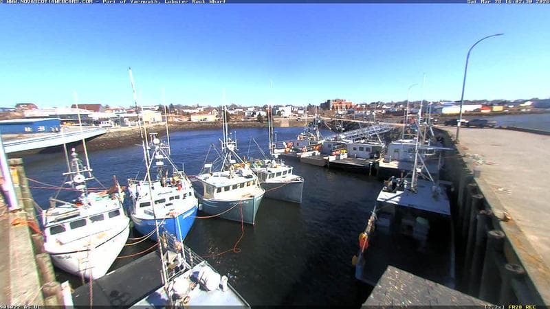 Lobster Rock Wharf East