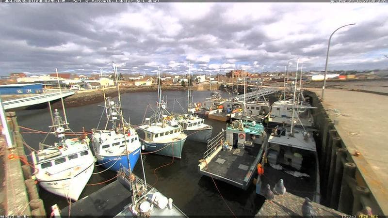 Lobster Rock Wharf East
