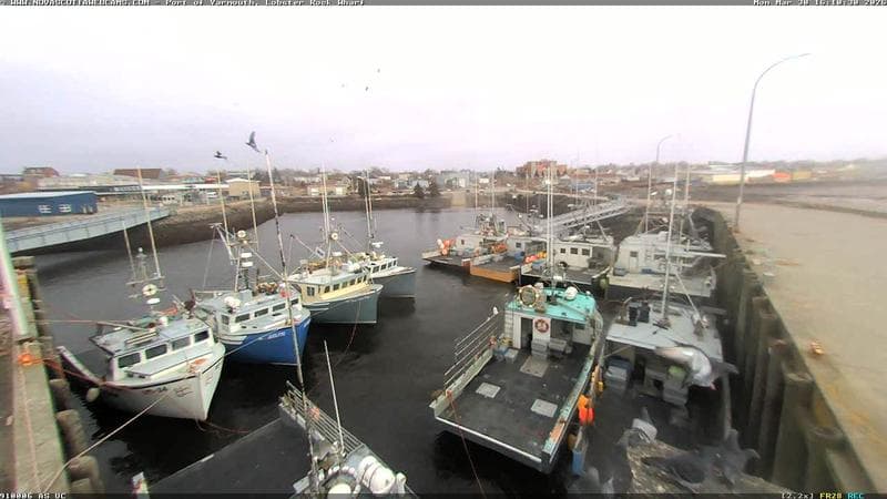 Lobster Rock Wharf East