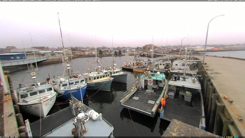 Lobster Rock Wharf East
