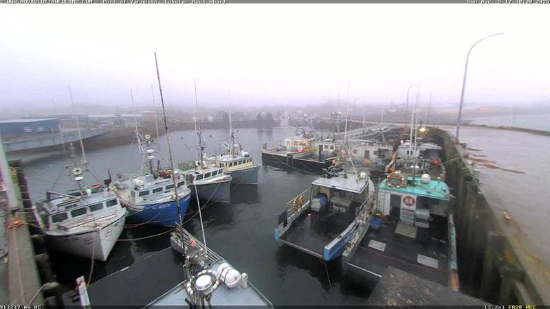Lobster Rock Wharf East