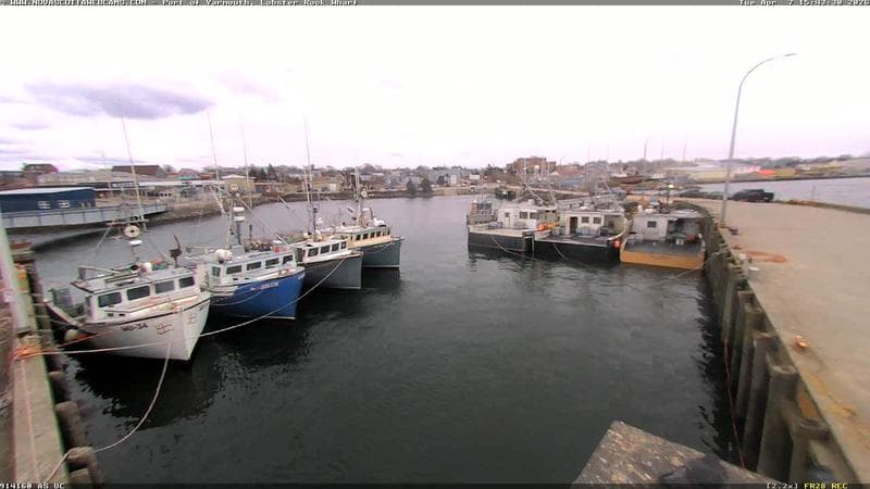 Lobster Rock Wharf East
