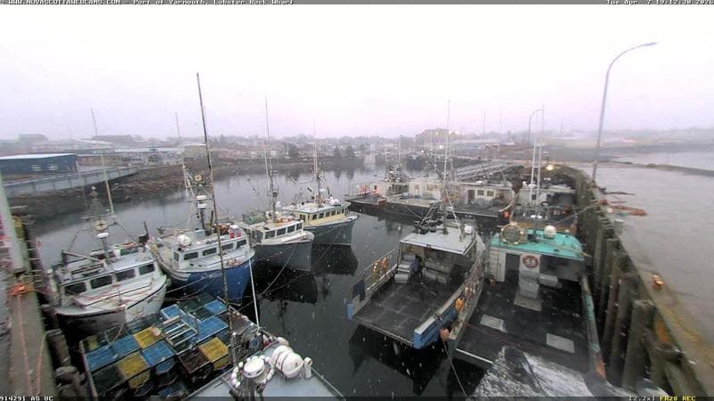 Lobster Rock Wharf East