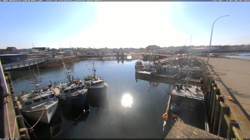 Lobster Rock Wharf East