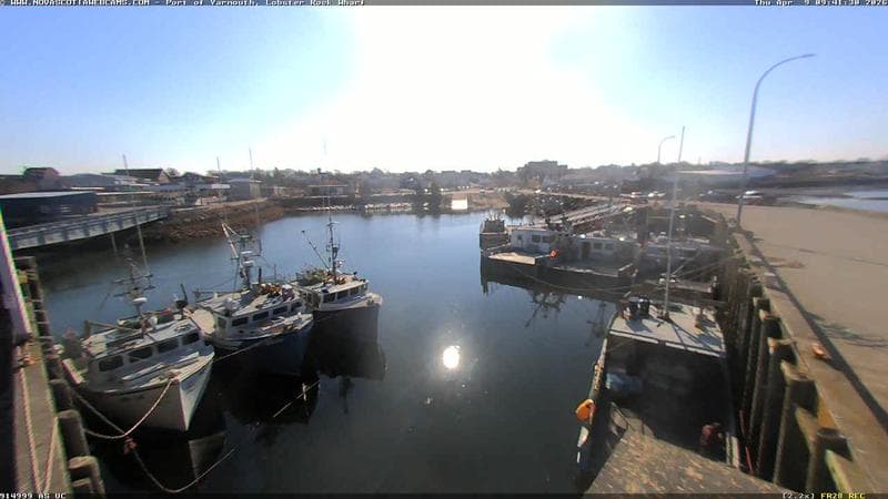 Lobster Rock Wharf East