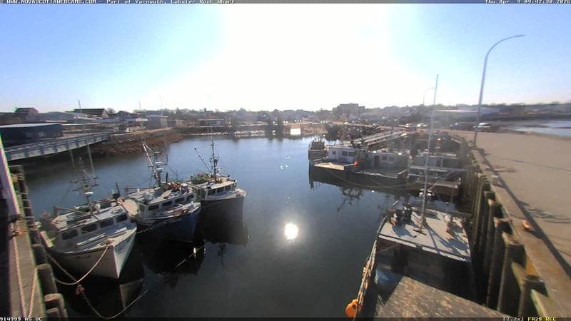 Lobster Rock Wharf East