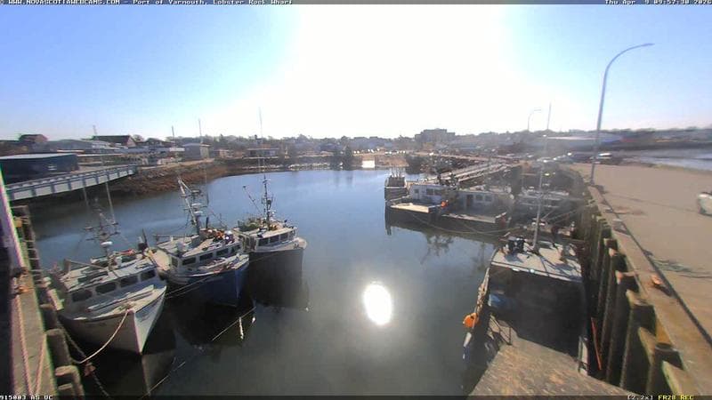 Lobster Rock Wharf East