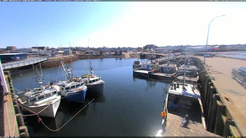 Lobster Rock Wharf East