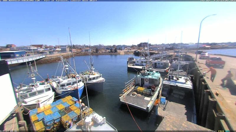 Lobster Rock Wharf East