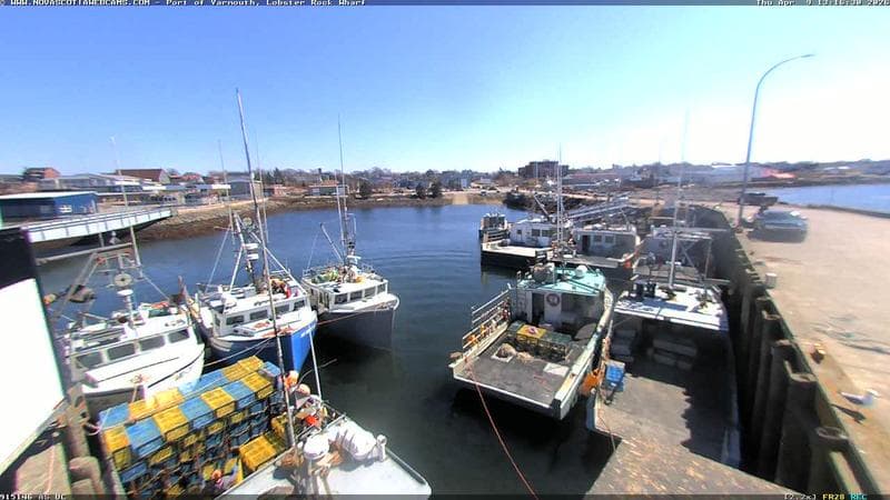 Lobster Rock Wharf East