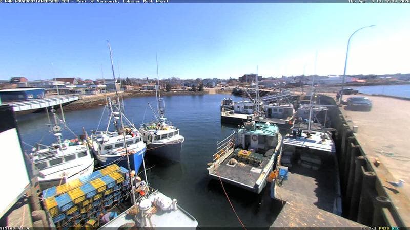 Lobster Rock Wharf East