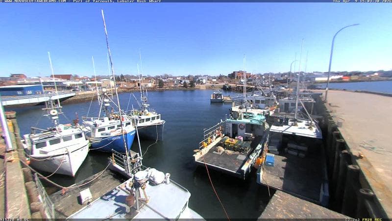 Lobster Rock Wharf East