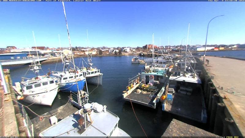 Lobster Rock Wharf East