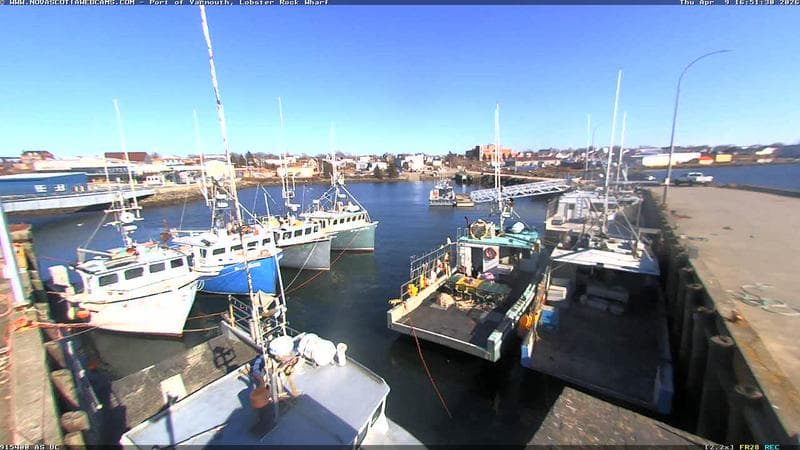Lobster Rock Wharf East