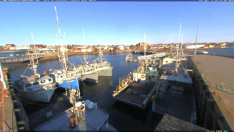 Lobster Rock Wharf East