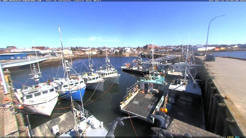 Lobster Rock Wharf East