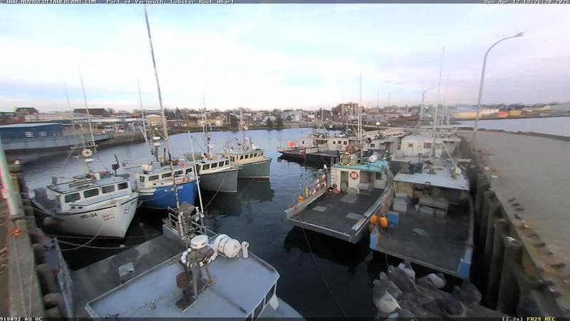 Lobster Rock Wharf East