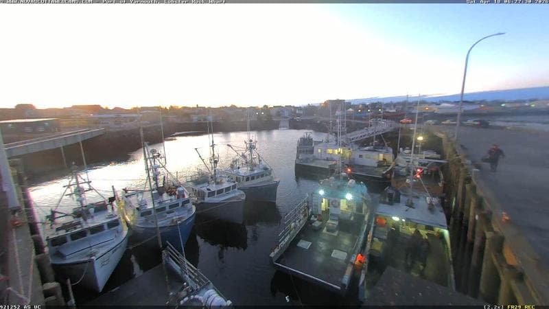 Lobster Rock Wharf East