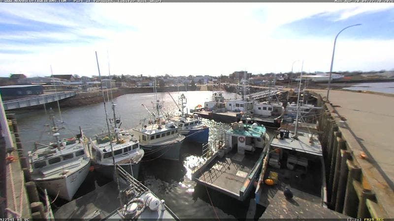 Lobster Rock Wharf East