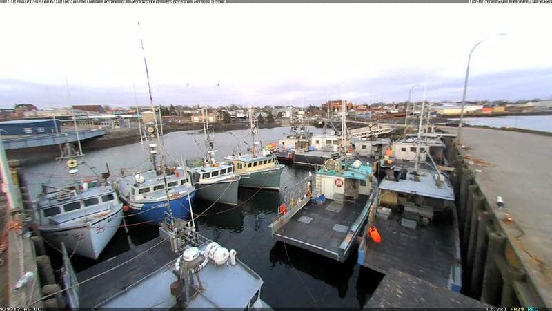 Lobster Rock Wharf East