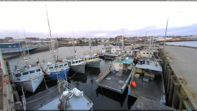 Lobster Rock Wharf East