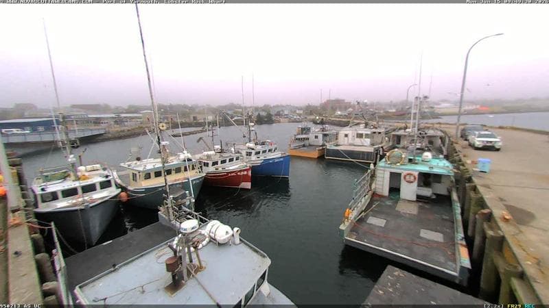 Lobster Rock Wharf East